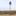vuurtoren egmond aan zee