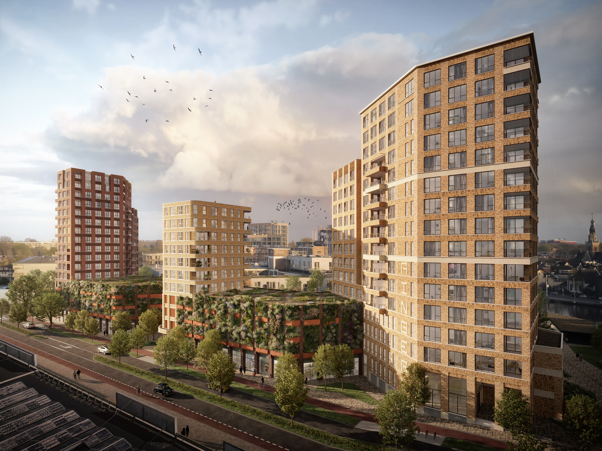 Nieuwbouw Ringers Noorderstraat Daktuinen 1536